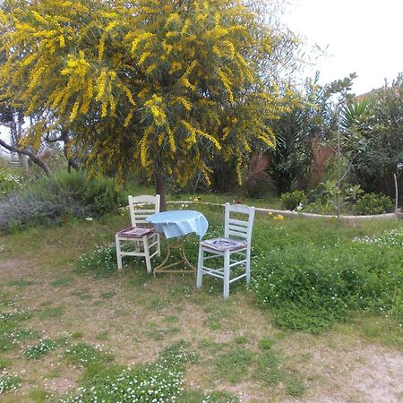 Aparthotel Kassimiotis Agios Andreas  Exteriér fotografie